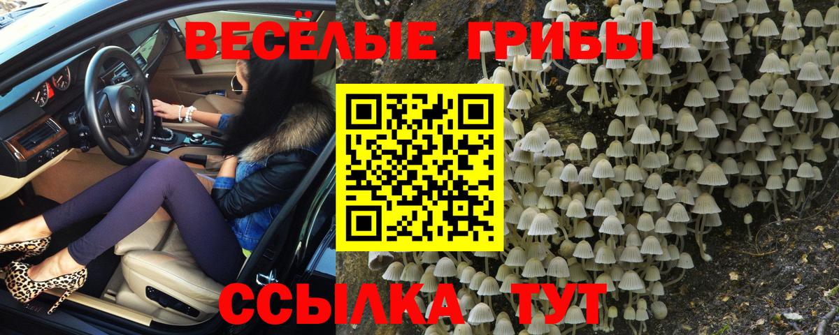 Галлюциногенные грибы ЛСД  Вход с VPN  Междуреченск 