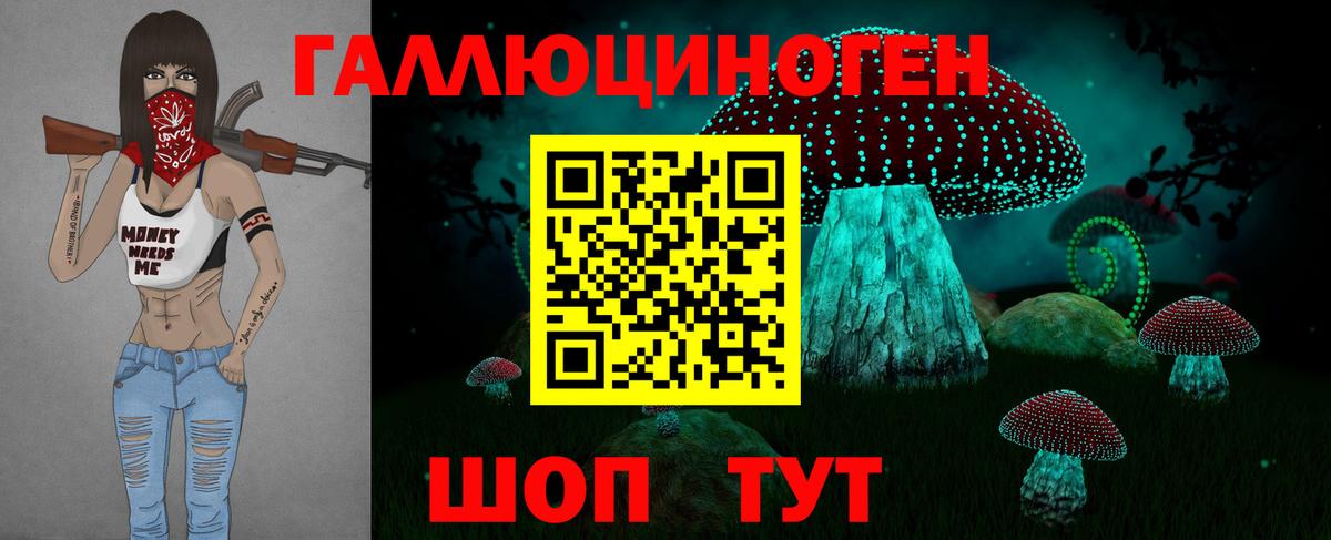 Галлюциногенные грибы Psilocybine cubensis Междуреченск